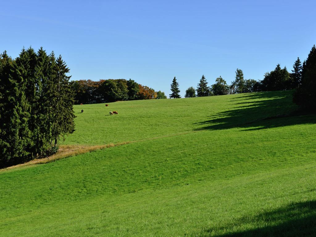 Apartment With Garden In Eimelrod Willingen  Esterno foto